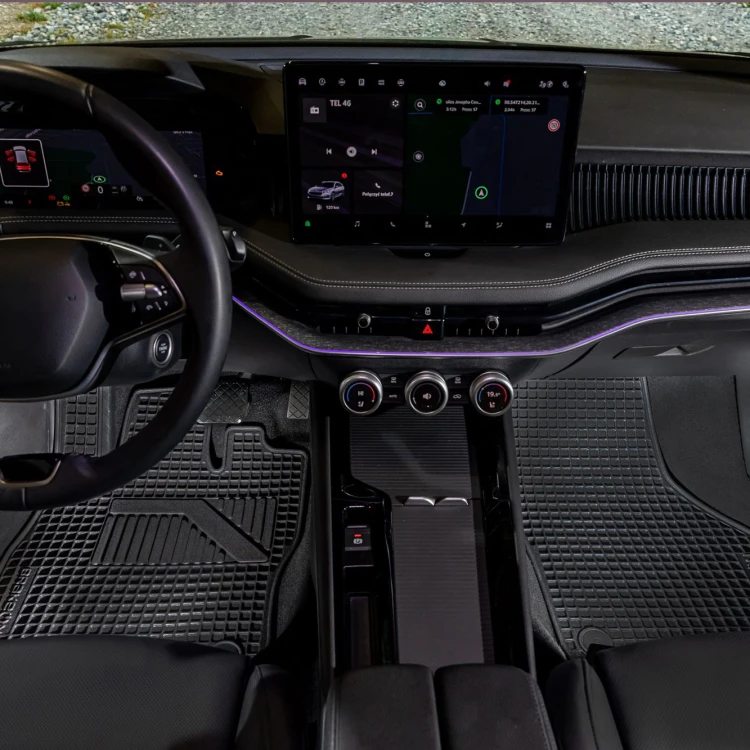 TPE Gummifußmatten-Set für Citroen C4 II 2010-2017 - vordere Fußmatten