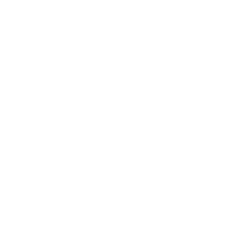 EVA-Fahrermatte für BMW 3er E90/E91 X-drive 2005-2012 - Umriss