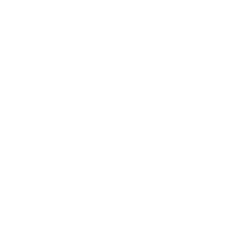 EVA-Fußmatten vorne für BMW 5er E60/E61 X-drive 2003-2010 - Umriss