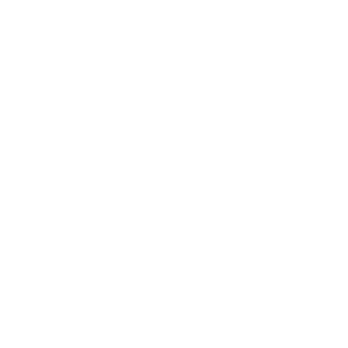 EVA-Fußmatten-Set für BMW Z3 1996-2002 - Umriss