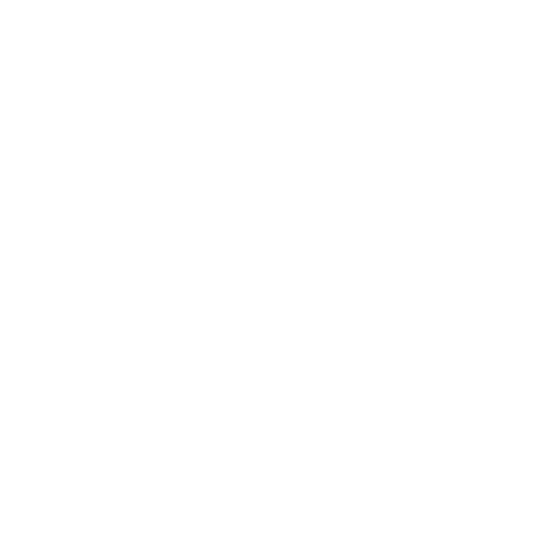 EVA-Fahrermatte für Chrysler 300C I 2005-2010 - Umriss