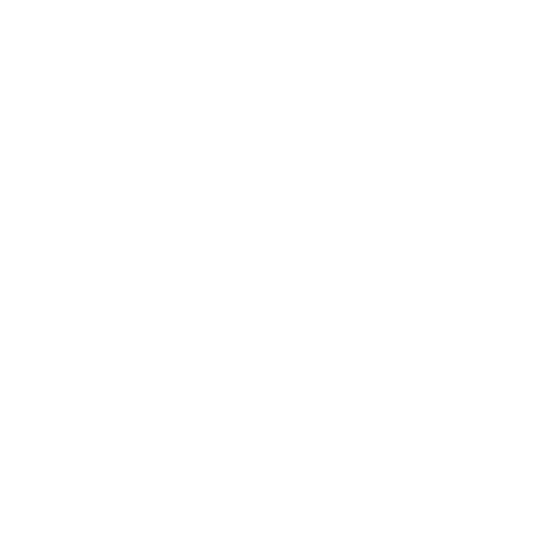 EVA-Fußmatten-Set für Chrysler 300C I 2005-2010 - Umriss