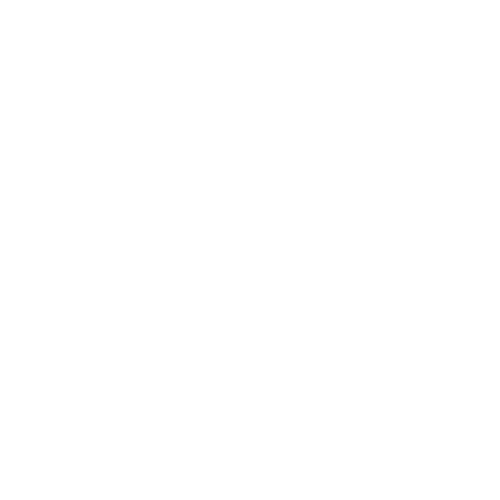 EVA-Fußmatten-Set für Chrysler PT-Cruiser 2000-2010 - Umriss