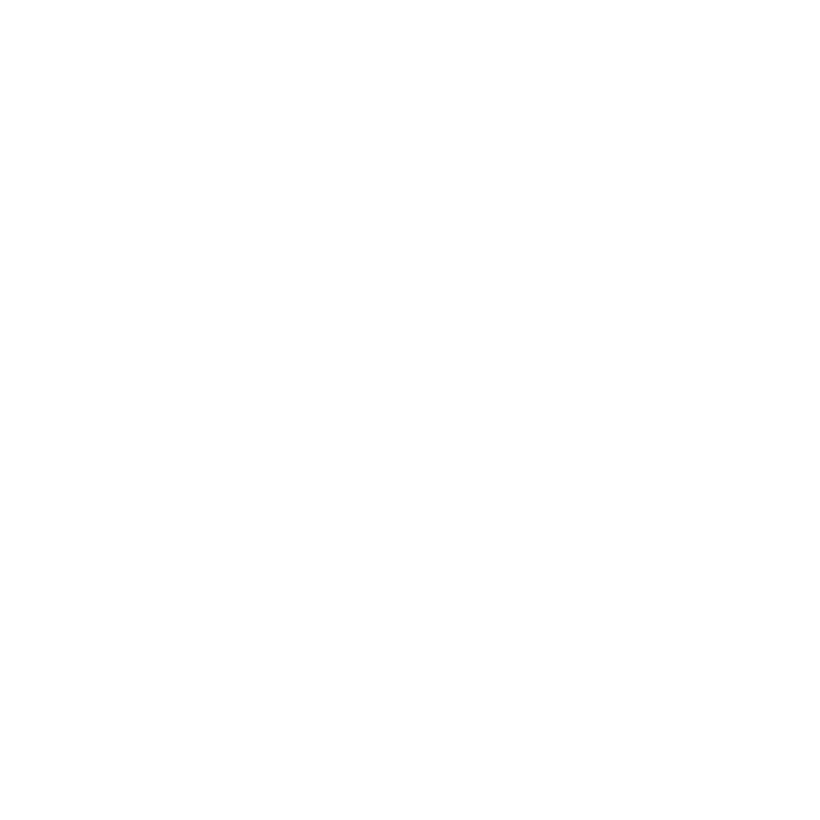 EVA-Fußmatten-Set für Chrysler PT-Cruiser 2000-2010 - Umriss