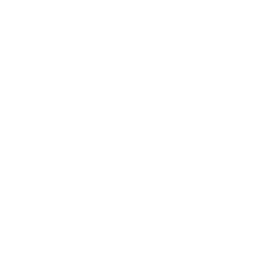 EVA-Fahrermatte für Citroen DS3 Crossback E-Tense 2019- - Umriss