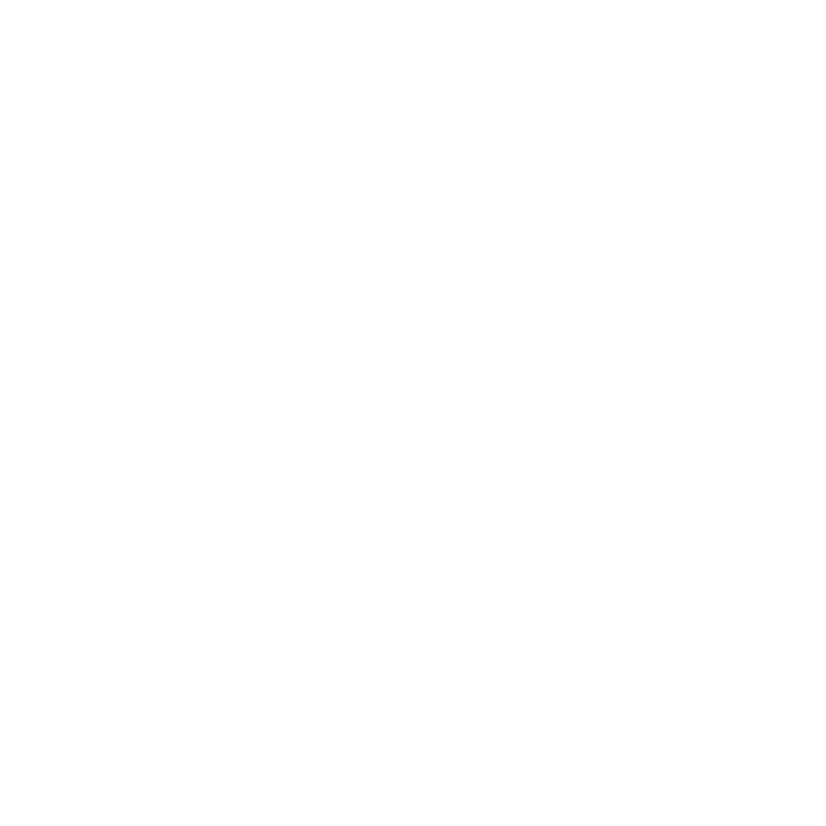 EVA-Fußmatten vorne für Ford Mustang VI 2014-2023 - Umriss