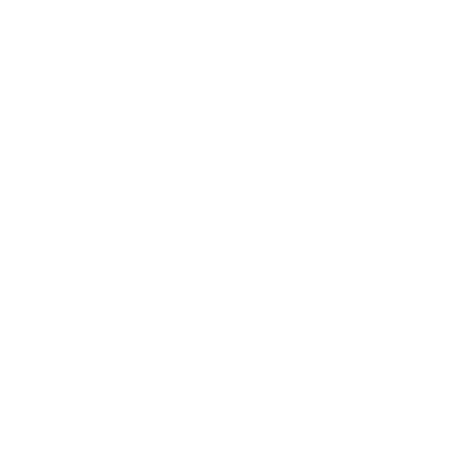 EVA-Fußmatten-Set für Ford Mustang V 2004-2010 - Umriss
