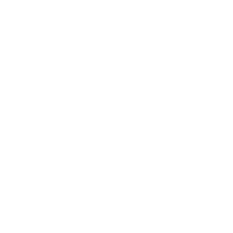 EVA-Fußmatten-Set für Ford Mustang V 2004-2010 - Umriss