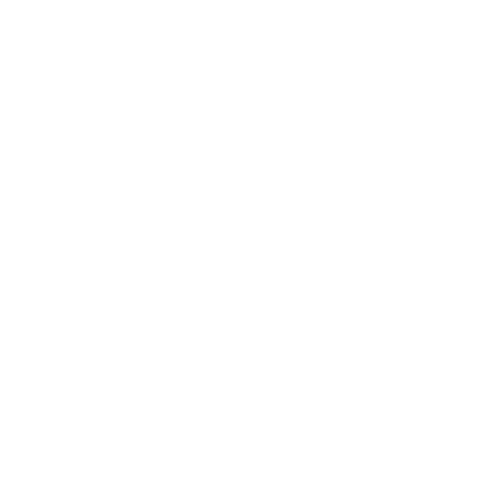 EVA-Fußmatten-Set für Honda Prelude IV 1992-1996 - Umriss