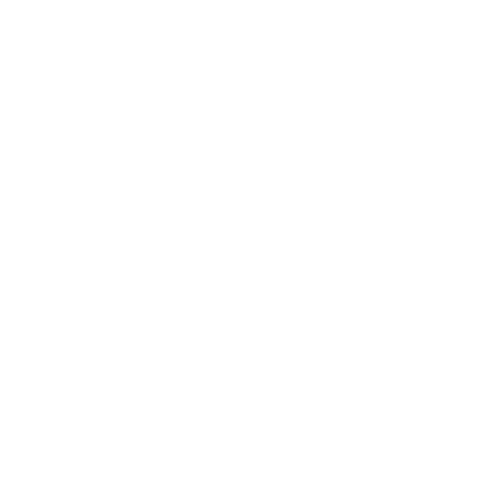 EVA-Fußmatten vorne für Honda CRX II 1987-1992 - Umriss