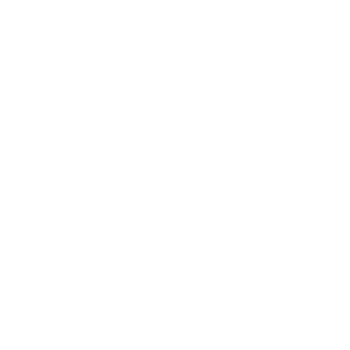 EVA-Fußmatten-Set für Hyundai Genesis Coupe 2008-2016 - Umriss