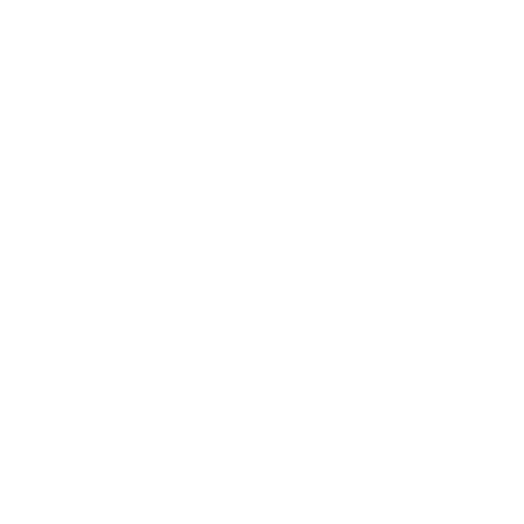 EVA-Fußmatten-Set für Hyundai Santa Fe IV (5 Sitze) 2018- - Umriss