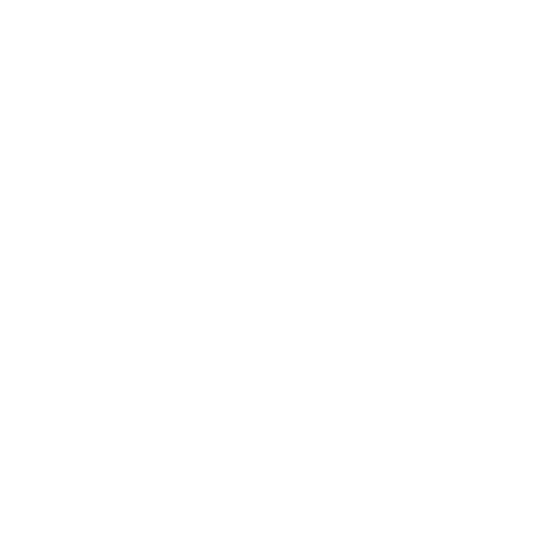 EVA-Fußmatten-Set für Jaguar XJ VII Langversion 2002-2009 - Umriss