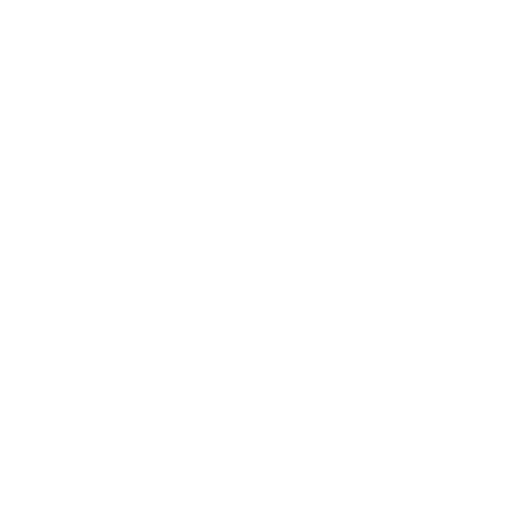 EVA-Fußmatten-Set für Jaguar XJ VII Langversion 2002-2009 - Umriss