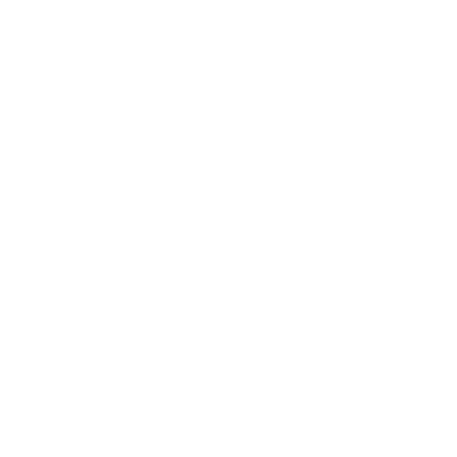 EVA-Fußmatten-Set für Jaguar XJ VII 2002-2009 - Umriss