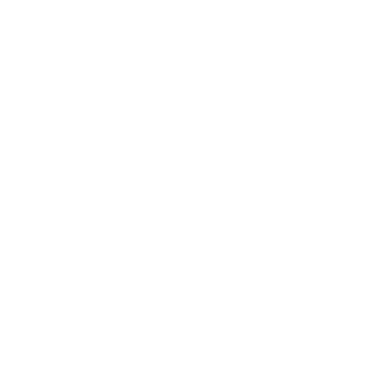 EVA-Fußmatten-Set für Lexus LS III 2000-2006 - Umriss