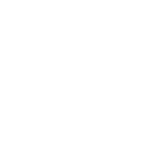 EVA-Fußmatten-Set für Mercedes S-Klasse S Coupe C217 2013-2020 - Umriss