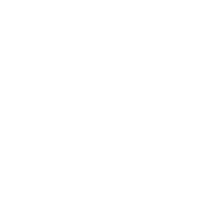 EVA-Fußmatten-Set für Mitsubishi Pajero Pinin 1999-2004 - Umriss