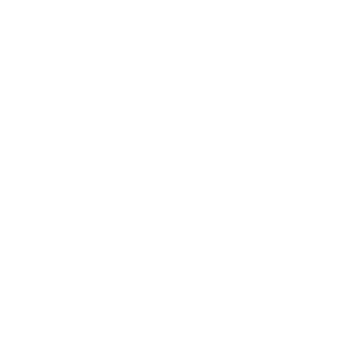 EVA-Fahrermatte für Nissan NV300 2016-2021 - Umriss