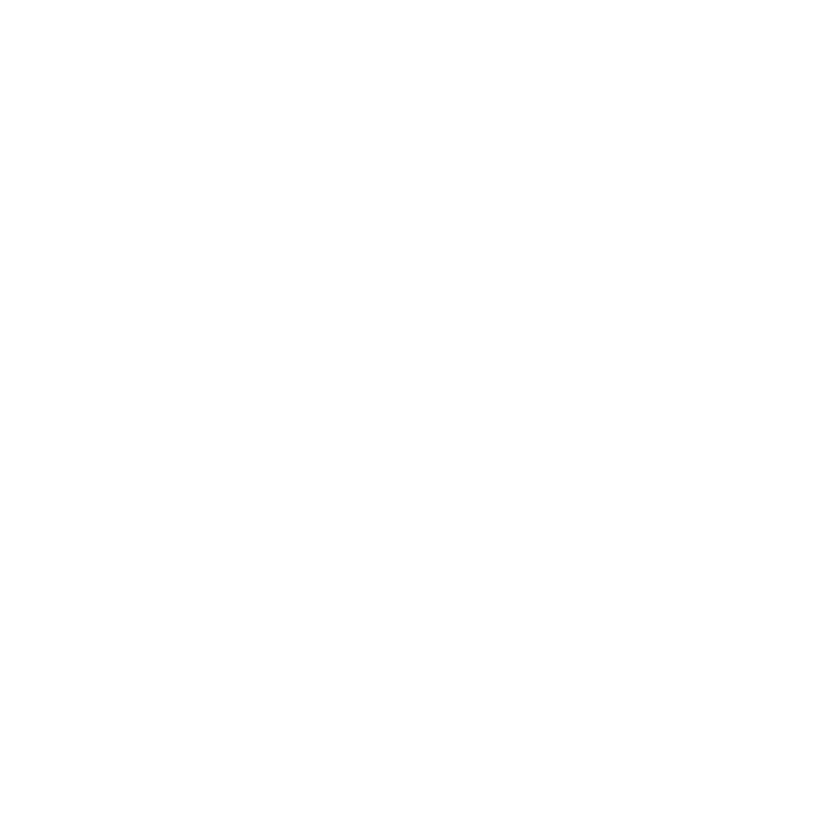 EVA-Fußmatten-Set für Nissan NV300 2016-2021 - Umriss