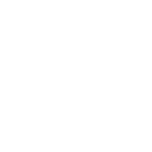EVA-Fußmatten-Set für Lexus NX 2014-2021 - Umriss