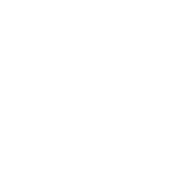 EVA-Fahrermatte für Peugeot 206+ 2009-2012 - Umriss