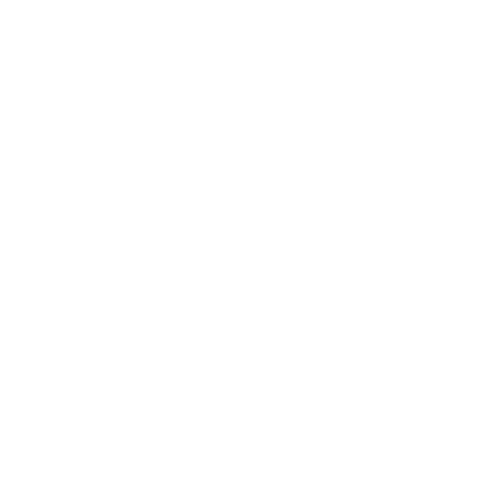 EVA-Fußmatten-Set für Peugeot 206+ 2009-2012 - Umriss