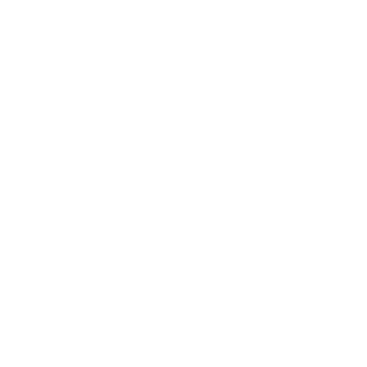 EVA-Fahrermatte für RAM 1500/2500/3500 (5 Sitze) 2008-2010 - Umriss