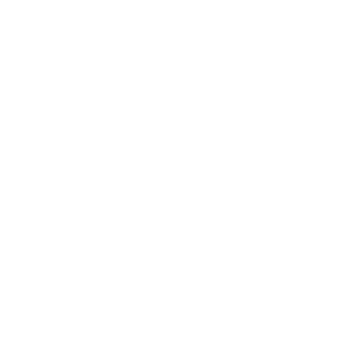 EVA-Fußmatten-Set für Renault Latitude 2010-2015 - Umriss